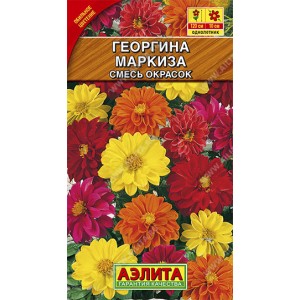 Георгина махровая Маркиза, смесь сортов --- Одн